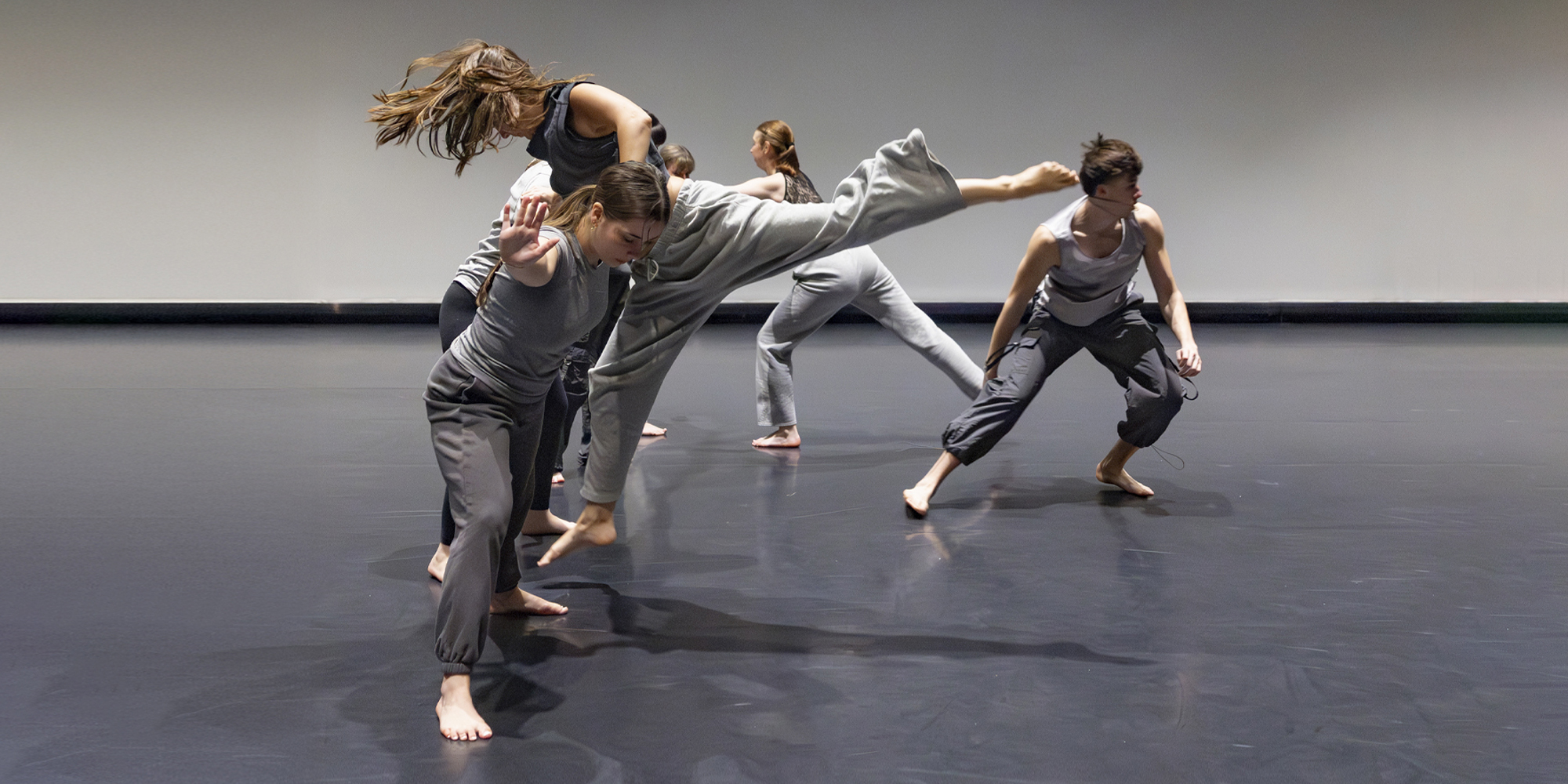 Hobart and William Smith Colleges