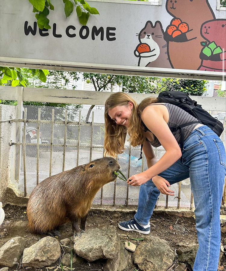 In Taipei, Taiwan, Annabel Ramsay ’25 feeds a capybara at a Capybara Cafe while studying abroad this semester.