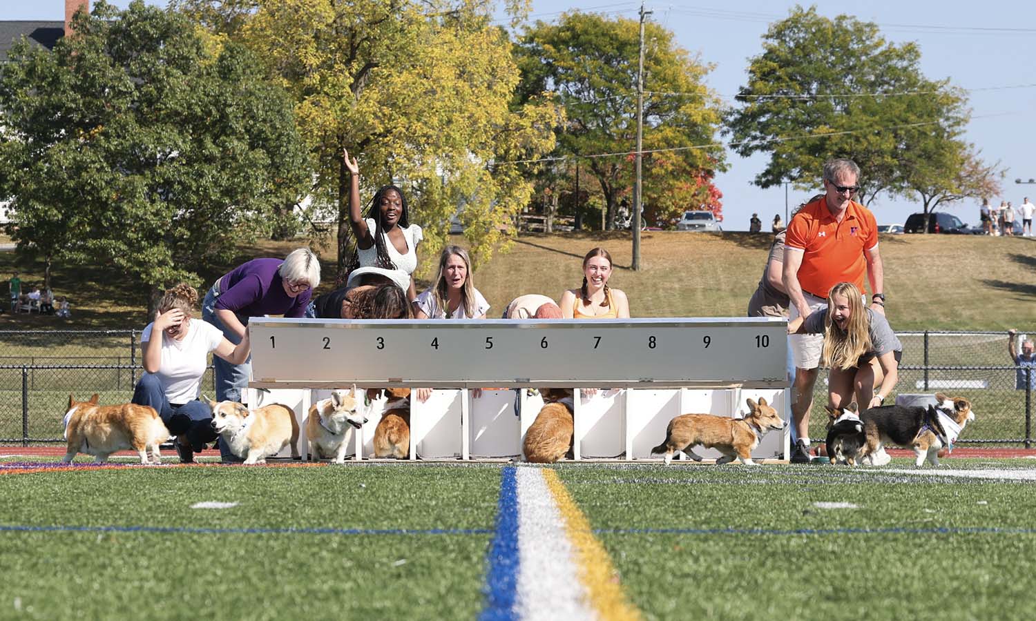 The inaugural HWS Corgi Fall Nationals race takes place at halftime on Boswell Field. 