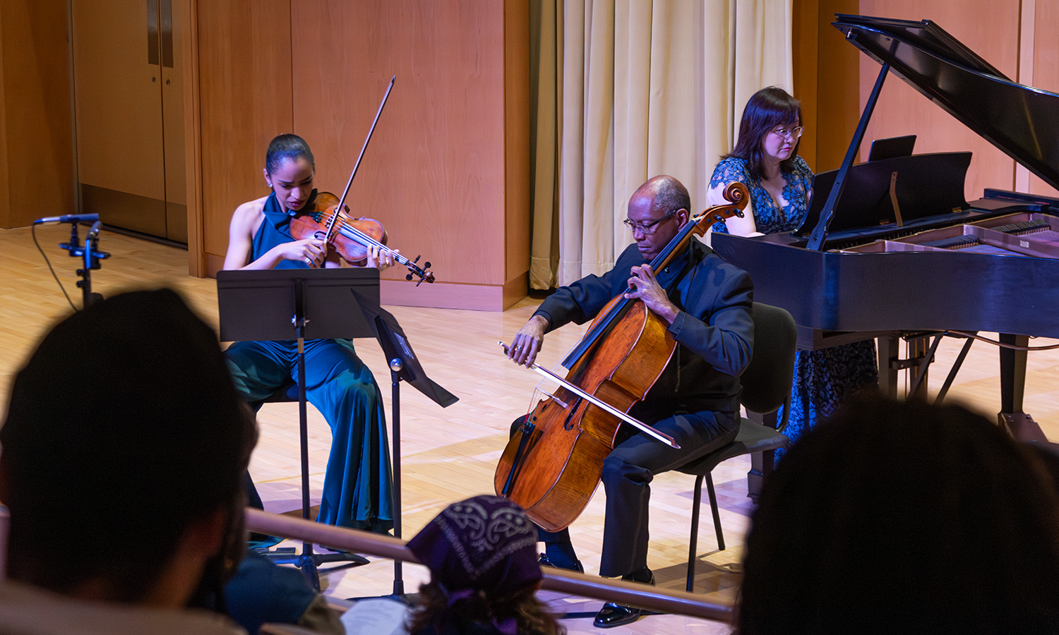The Davenport Chamber Players perform in Froelich Hall on Friday evening. 