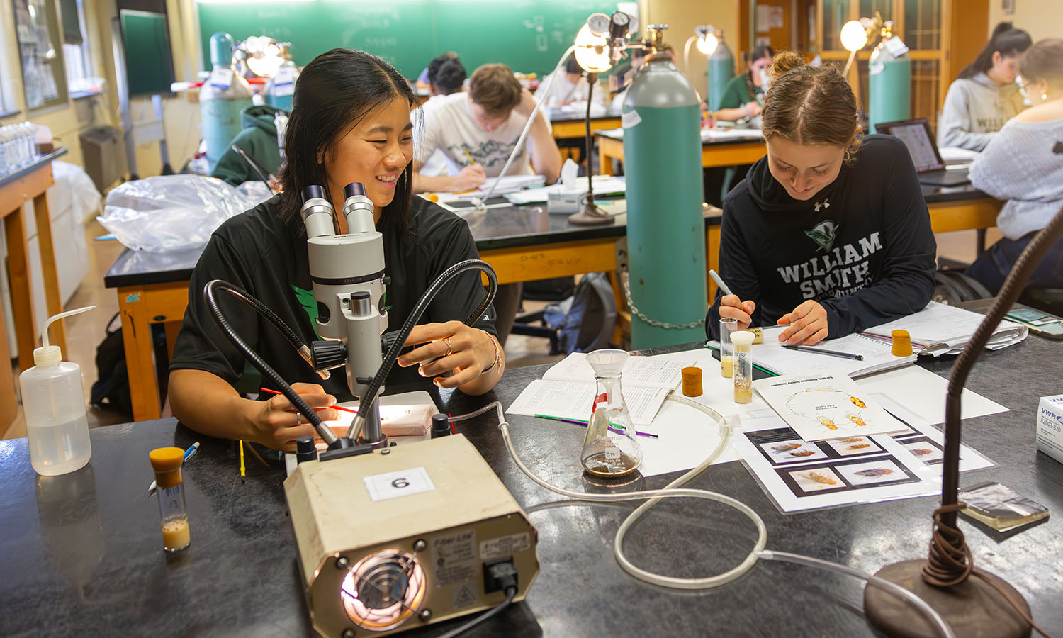 Lily Winch '28 and Bella Miller '28 examine fruit flies in "Genetics," taught by Professor of Biology Kristy Kenyon.  