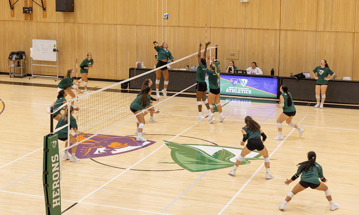 William Smith volleyball holds an intrasquad scrimmage during preseason in Bristol Gym. 