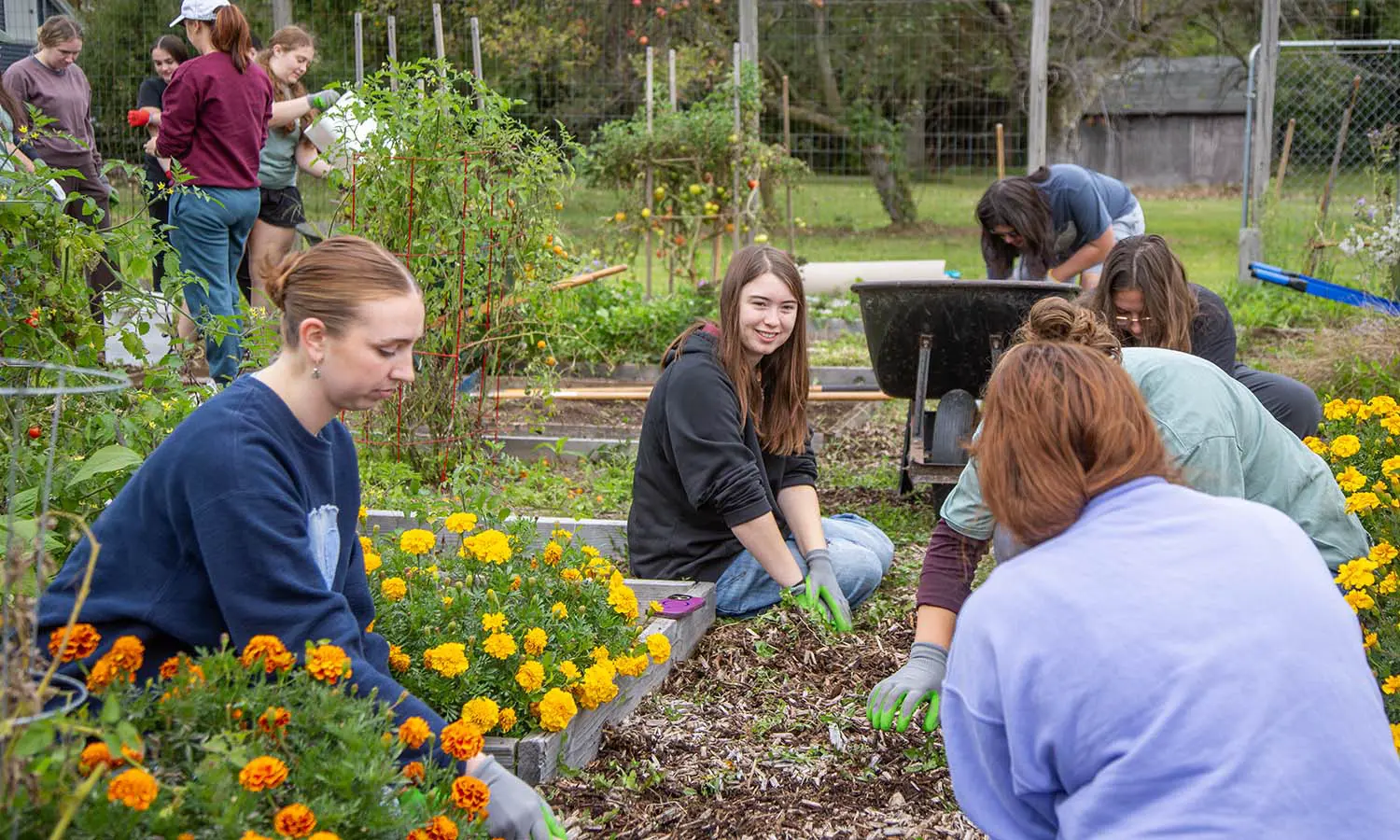 During the September Day of Service, students help clean the East Lakeview Garden in Geneva. 