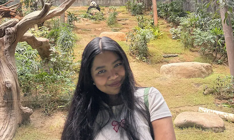 Mohonta