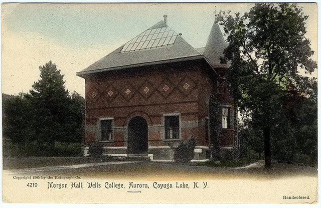 Wells College