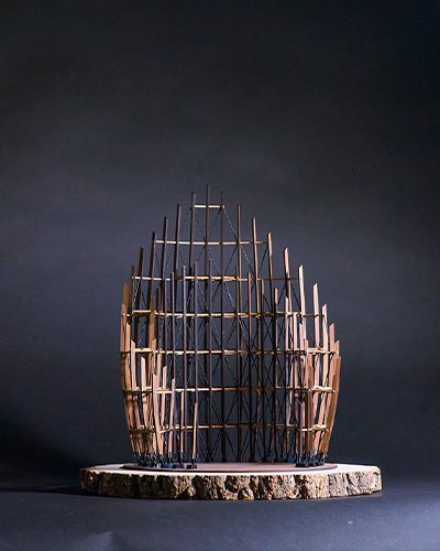 “Morphologics” (18 inches x 18 inches, wood and wire, November 2024)
