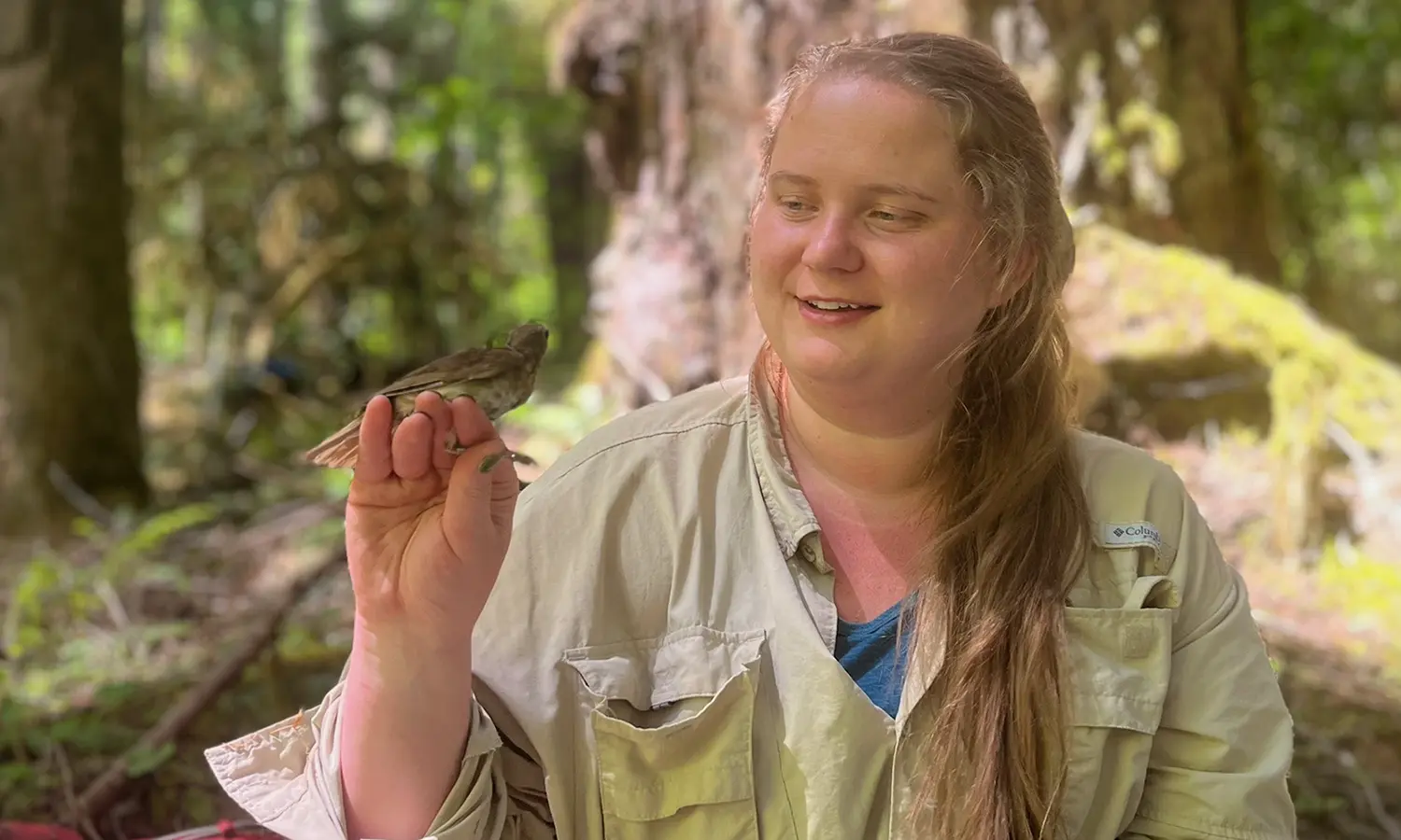 Former intern Madison Sutton '17 is now a Research Fellow at the Smithsonian Migratory Bird Center.
