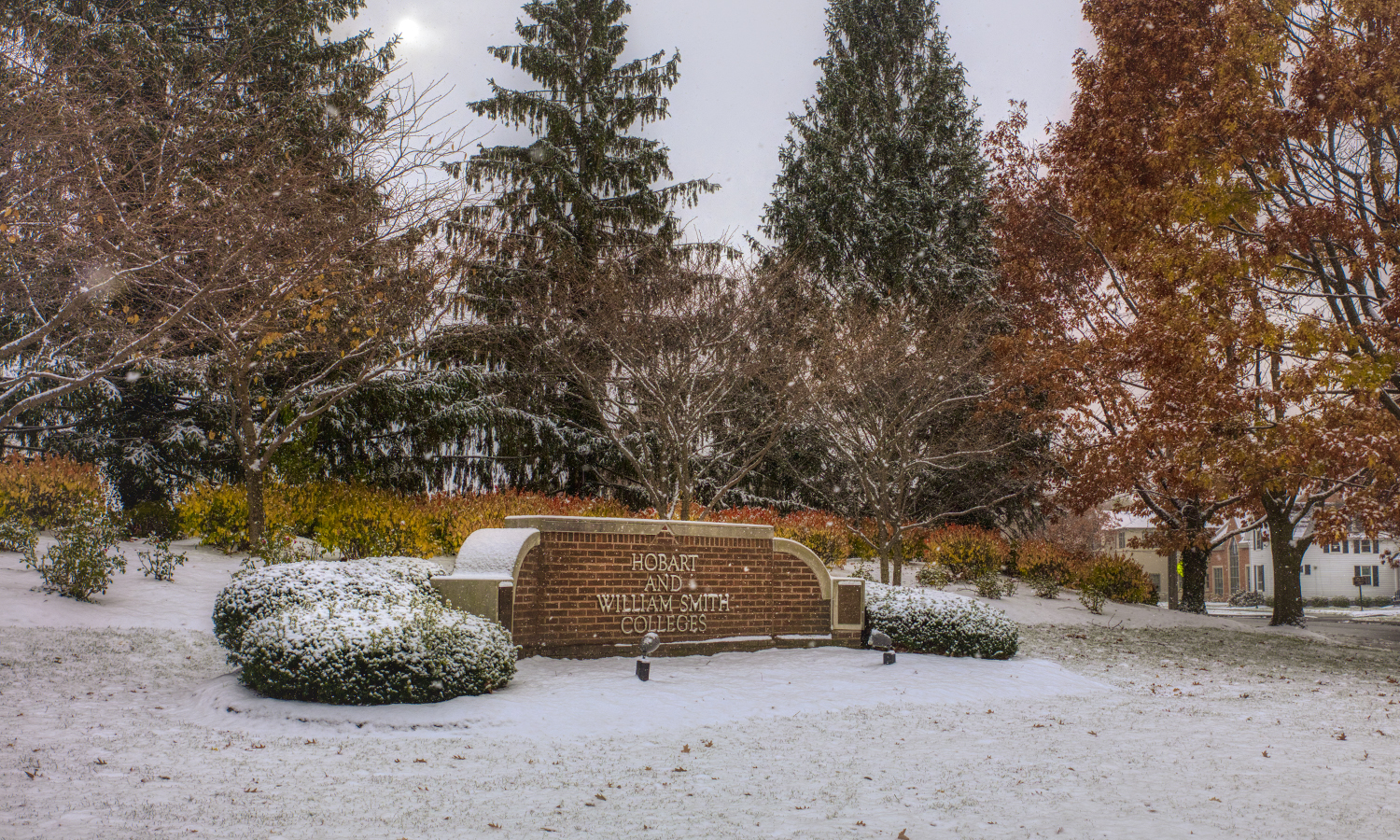 A fresh snowfall blan