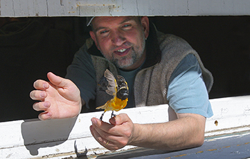 Why Do Birds Fatten Up for Migration?