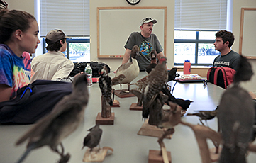 Bird Obsessions, Community Bonds