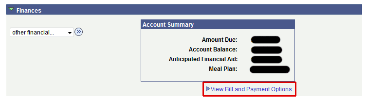 Bill Pay Options