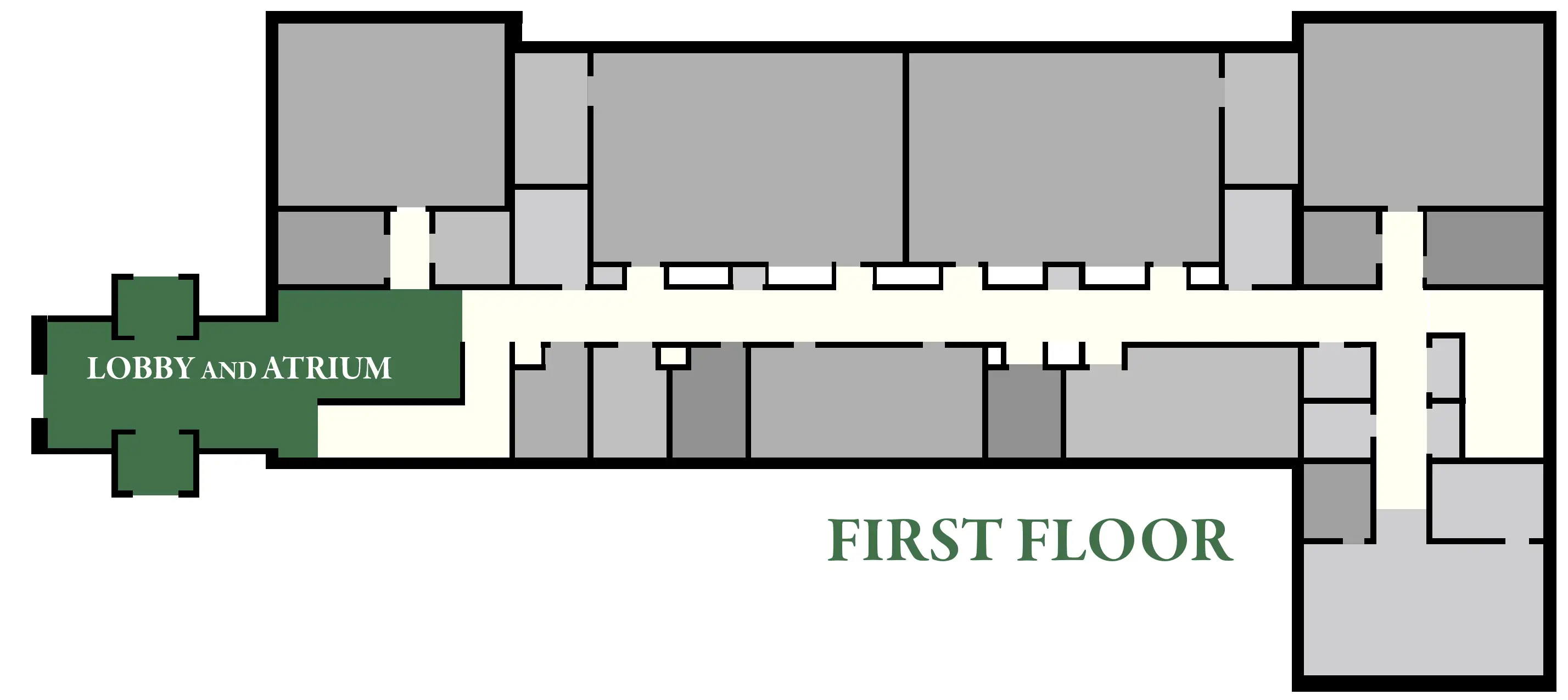 The Center for Mind, Matter and Computation